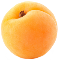 Apricot PNG