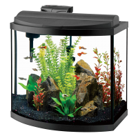 Aquarium PNG