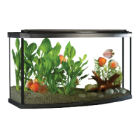 Aquarium PNG