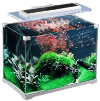 Aquarium PNG
