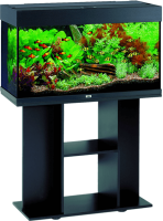 Aquarium PNG