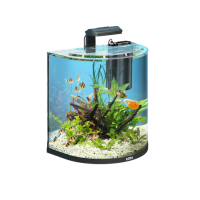 Aquarium PNG