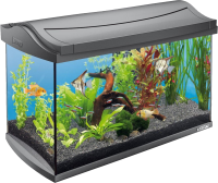 Aquarium PNG