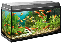 Aquarium PNG