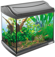 Aquarium PNG