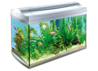 Aquarium PNG