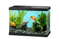 Aquarium PNG