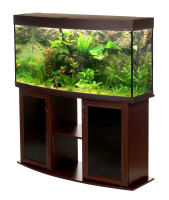 Aquarium PNG