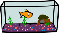 Aquarium PNG