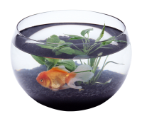 Aquarium PNG