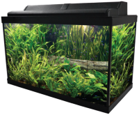 Aquarium PNG