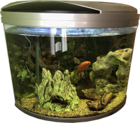 Aquarium PNG