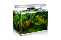 Aquarium PNG