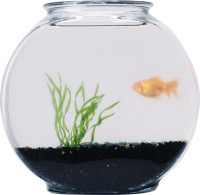 Aquarium PNG