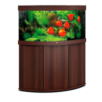 Aquarium PNG