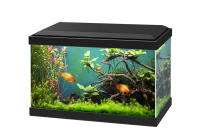 Aquarium PNG