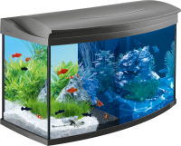 Aquarium PNG