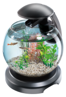 Aquarium PNG