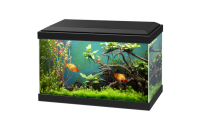 Aquarium PNG