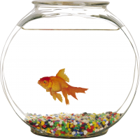Aquarium PNG