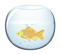 Aquarium PNG