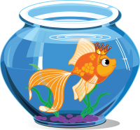 Aquarium PNG