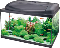 Aquarium PNG