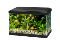 Aquarium PNG