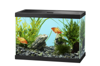Aquarium PNG