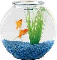 Aquarium PNG