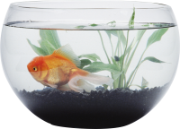 Aquarium PNG
