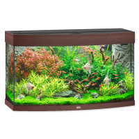 Aquarium PNG