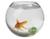Aquarium PNG