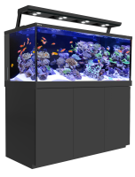 Aquarium PNG