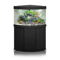 Aquarium PNG