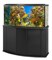 Aquarium PNG