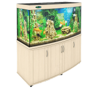 Aquarium PNG
