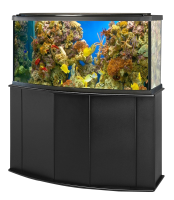 Aquarium PNG