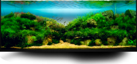 Aquarium PNG