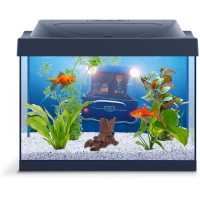 Aquarium PNG