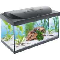 Aquarium PNG