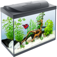 Aquarium PNG