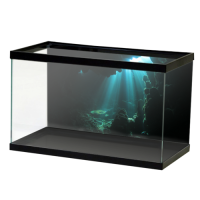 Aquarium PNG