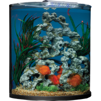 Aquarium PNG