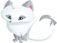 Arctic fox PNG