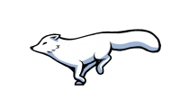 Arctic fox PNG