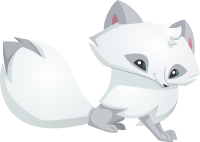 Arctic fox PNG