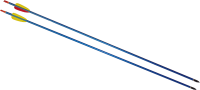Arrow bow PNG