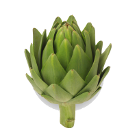 Artichoke PNG