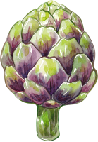 Artichoke PNG picture